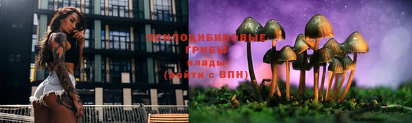 2c-b Алзамай
